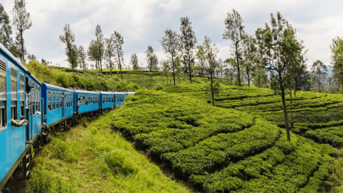 The Train Trip Guide: How to Book and Get the Best Seat for the Kandy to Ella Scenic Railway